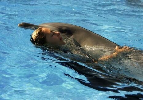 Живая русалка с дельфинами